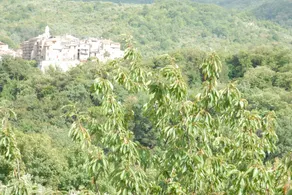 Casa del Sole Casape - Image 3