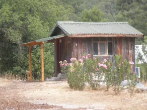 Olympos Woods - Image 3