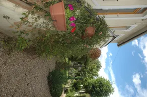 La Terrasse - Image 4