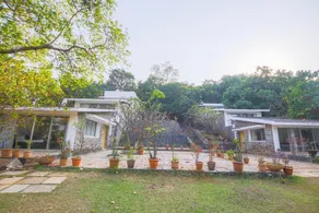 Mahua Bagh - Image 4