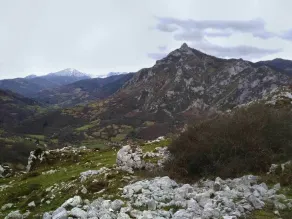 El Rincón Del Duende - Image 3
