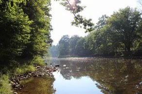 Peaceful Pine Lodge Right On Pine Creek - Image 2