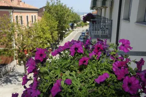 Al Faro - Image 3