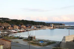 Shikishimaso - Image 3