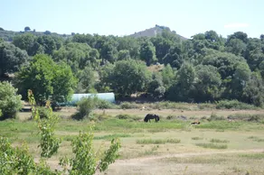 Le Riviera - Image 5