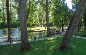 Portella - Image 3