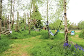 8-bed Lotus Belle Mahal Tent in The Wye Valley - Image 3