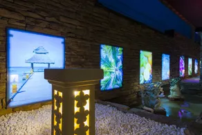 Water Hotel Ry-Adults Only - Image 3