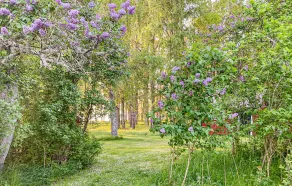Beautiful Home in Jakobsbyn With Sauna, 3 Bedrooms and Wifi - Image 5