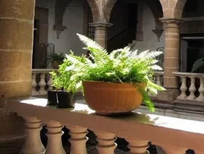 Hotel Casa Grande De Taxco - Image 4