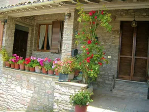 Apartment With one Bedroom in Assisi, With Shared Pool - Image 4