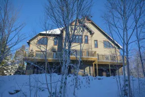 Harfang des Neiges - Image 4