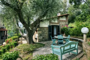 Villa Garden - Image 4