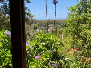 Ullora Road 38 - Nelson Bay, NSW - Image 3