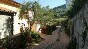 Dianum Int'l srl Villa Degli Ulivi - Image 5