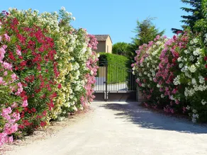 Le Clos De Calas - Image 4
