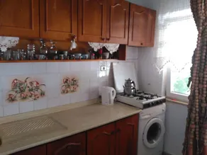 Erikli Tatil Evi 26 - Image 3