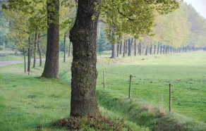 Het Uitzicht - Image 3