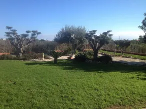 House With 4 Bedrooms in Oliva, With Wonderful Mountain View, Private - Image 5