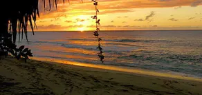 Emerald Beach 1 - Villa Solandra - Image 4