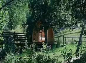 La Ferme Traits'Anes - Image 4