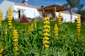 Villa With 2 Bedrooms in Zambujeiras, With Wonderful Mountain View, Private Pool, Furnished Garden - - Image 4