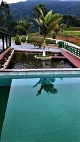 Sítio Abençoado em Águas Mornas - SC - Image 2