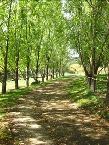Summerhill Farm Bed & Breakfast - Image 3
