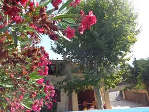 Villa Petra - Image 5