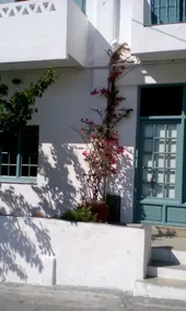 Hotel Elena Skyros - Image 4