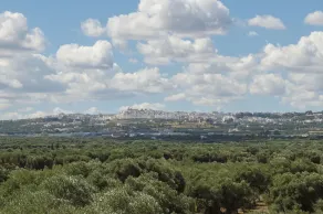 Masseria Palombara Grande - Image 5