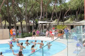 Giulivo A2 - Image 3