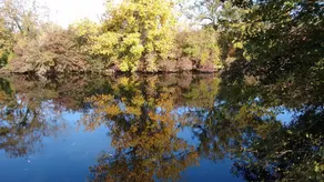Le Domaine Des Platanes - Image 5