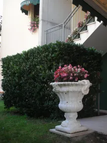 Residence Magnolia - Image 4