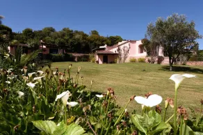 Villa Dianthos - Luxury 7 Bedroom in Porto Cervo - Image 5