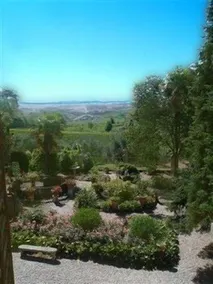 CASTEL DI PUGNA - Image 2