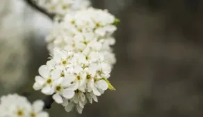 Freshwater Creek Cottages & Farm Stay - Image 2