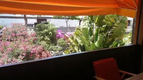 Club Canario - Image 5