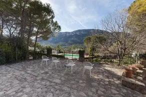 Pinos - Image 4