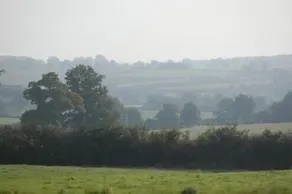 Domaine de Savigny - Image 4