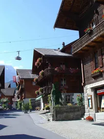 Bouquetins 05 - Located at 100 Meters From the Main Street of the Village - Image 5
