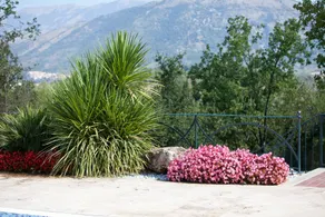 Colle Visconti Bed and Breakfast - Image 3