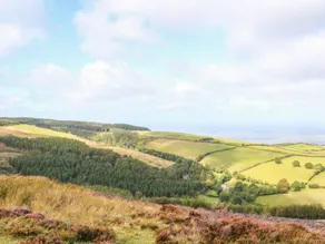 Yearnor Moor Lodge - Image 3