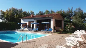 Pinzale - Image 4