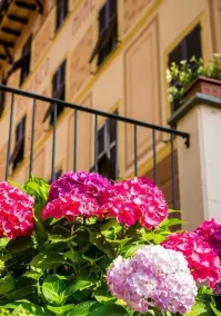 Residenza Albergo Minetto - Image 4
