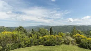 Poreale 6 - Image 2