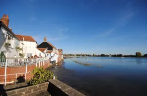 Oysters, Bosham - Image 4