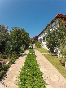 Gelemis Apart - Image 3
