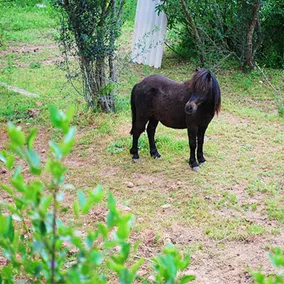 Villa With 8 Bedrooms in Monistrol de Montserrat, With Wonderful Mountain View, Private Pool, Furnis - Image 3