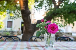 Apartment With in Atsipópoulo With Furnished Garden 10 - Image 4